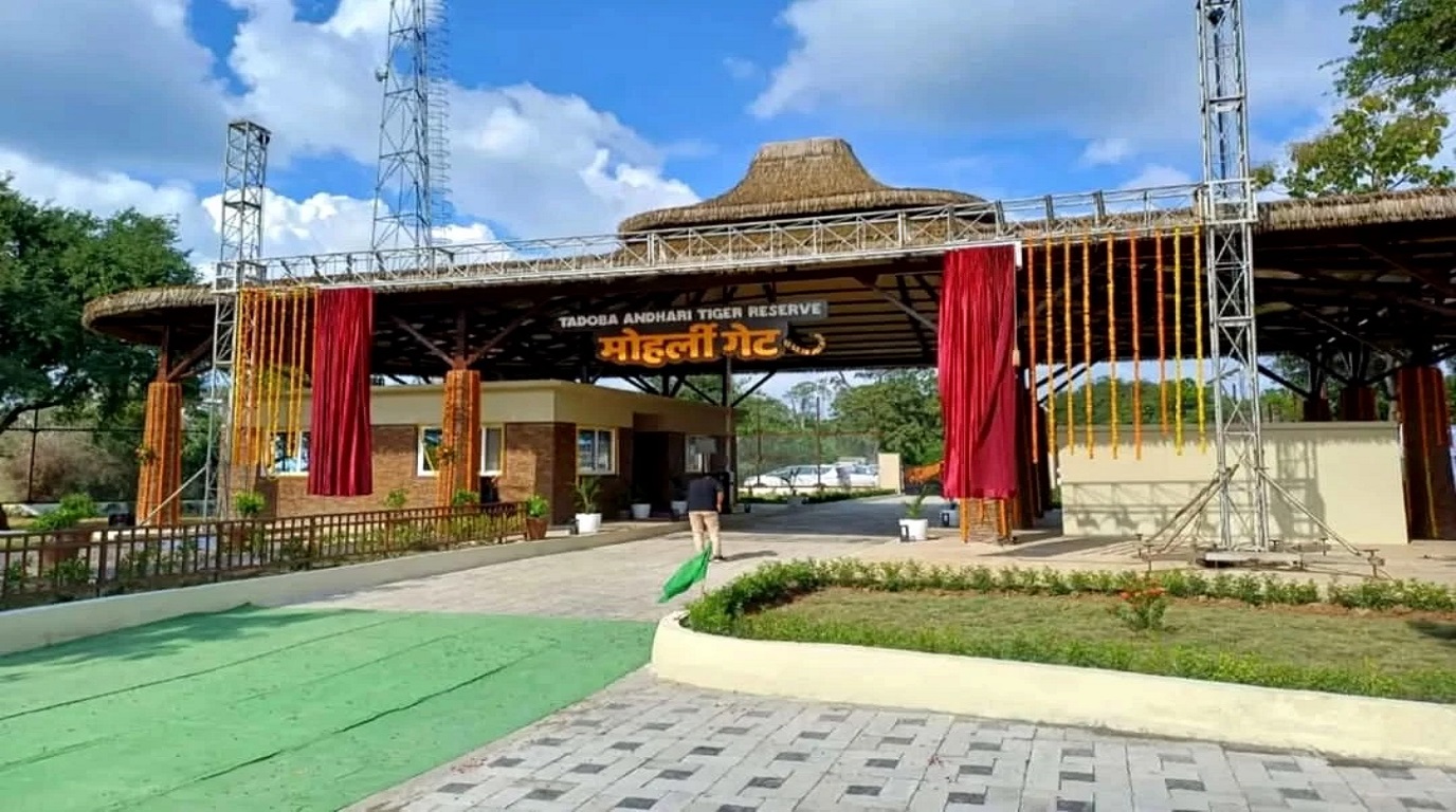 Moharli Zone Jeep Safari