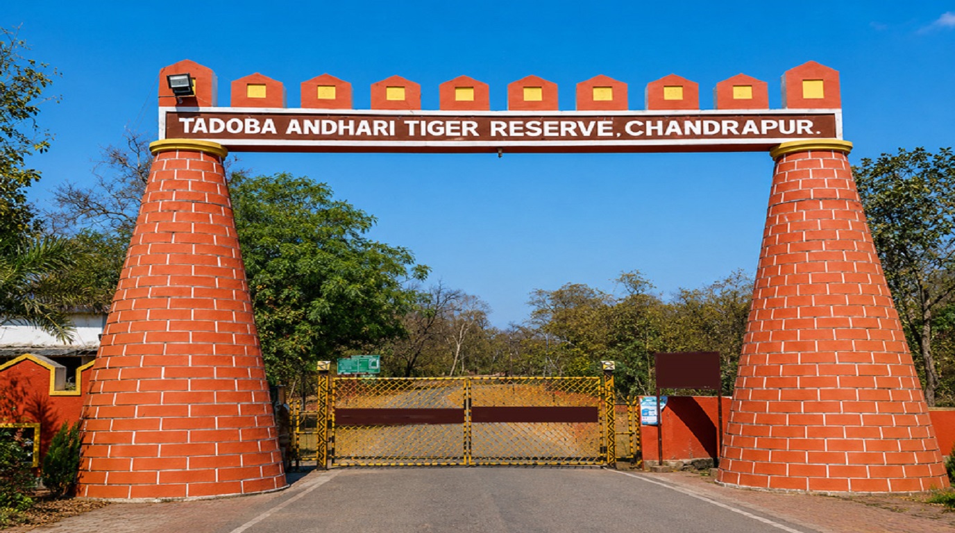 Tadoba Tiger Reserve entry gate