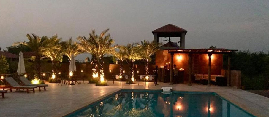 bamboo forest safari lodge 