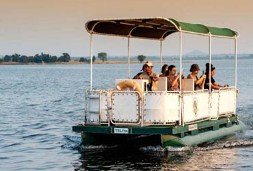 boat safari tour