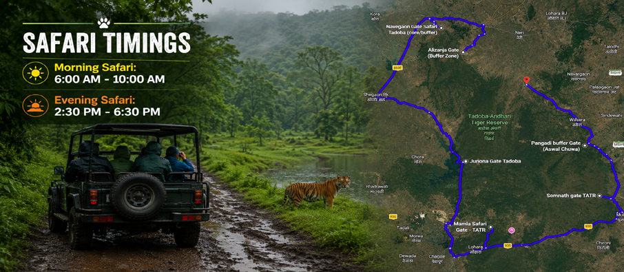monsoon in tadoba