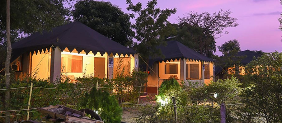 tadoba camp sarai