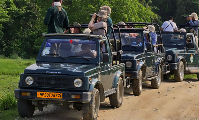 Tadoba tour